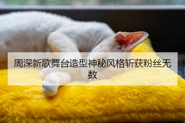 周深新歌舞台造型神秘风格斩获粉丝无数